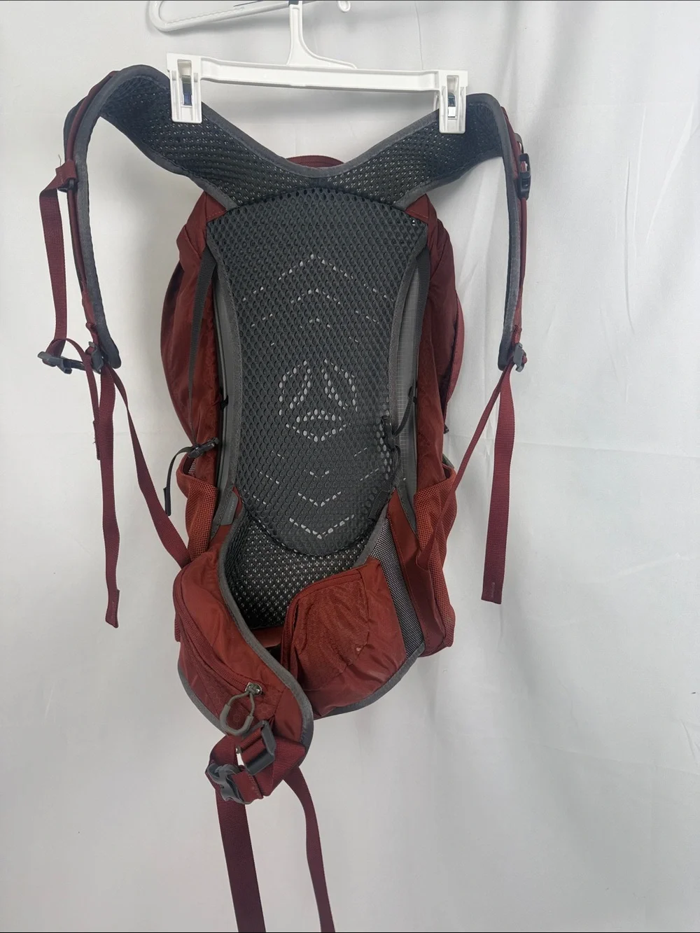 Gregory Citro Daypack Backpack in Deep Brick Red - Picture 5 of 6